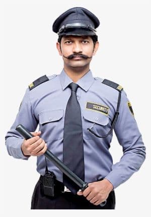 Cover Image For job position